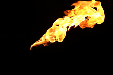 Similar image 22455535