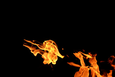 Similar image 22455564