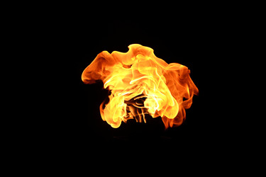 Similar image 22455583