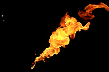 Similar image 22455595