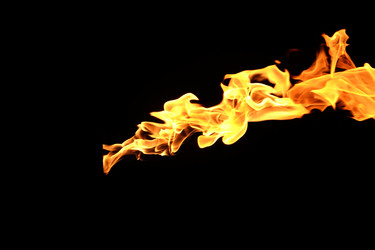 Similar image 22455596