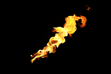 Similar image 22455597