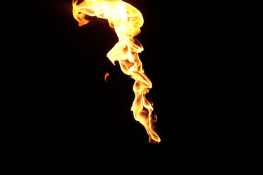 Similar image 22455598