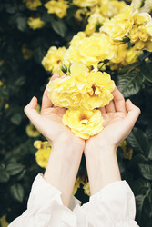 Similar image 22466319