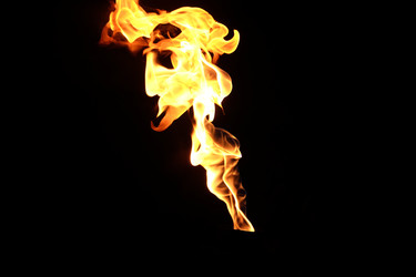 Similar image 22455608