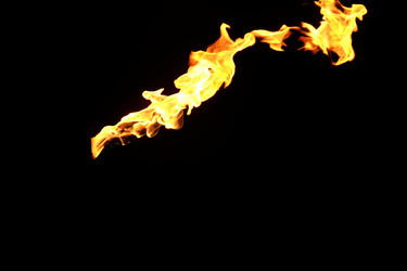 Similar image 22455611