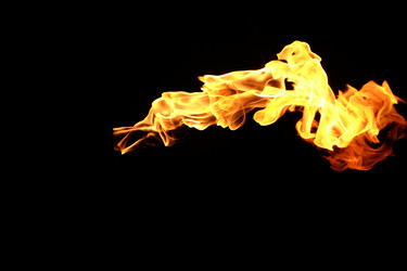 Similar image 22455627