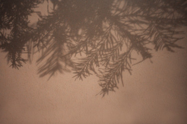 Similar image 22466346