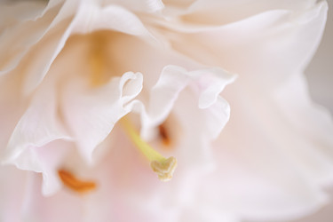 Similar image 22466347