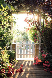 Similar image 22466364