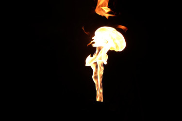 Similar image 22455409