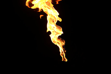 Similar image 22455414