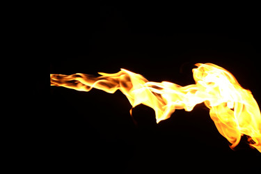 Similar image 22455416