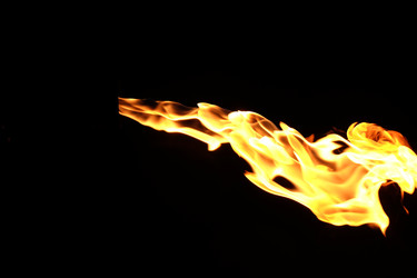 Similar image 22455442