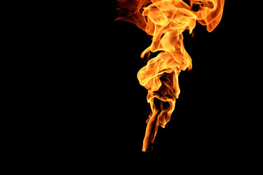 Similar image 22455446