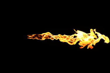 Similar image 22455507