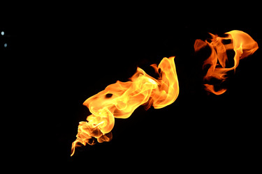 Similar image 22455508