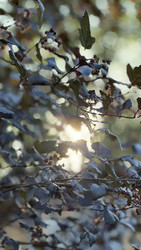 Similar image 22455677