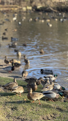 Similar image 22455678