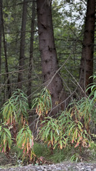 Similar image 22455679