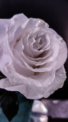 Similar image 22464556