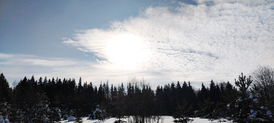 Similar image 22464557