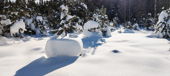 Similar image 22455353