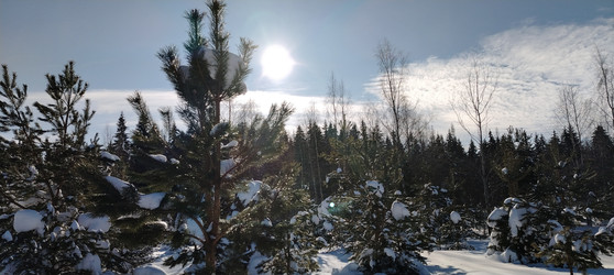 Similar image 22455354