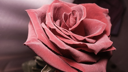 Similar image 22455355