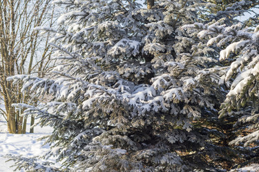 Similar image 22470778