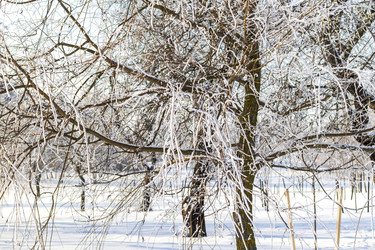 Similar image 22470795