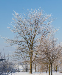 Similar image 22470796