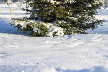 Similar image 22470797