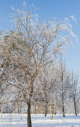 Similar image 22470798