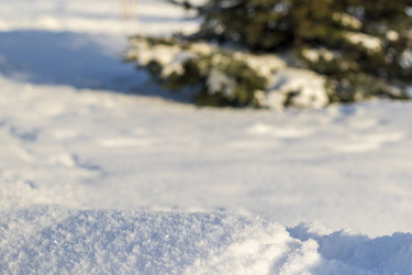 Similar image 22470810