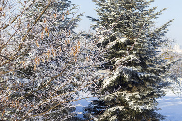 Similar image 22470811