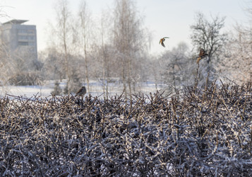 Similar image 22470661