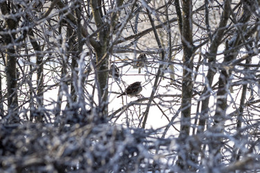 Similar image 22470663