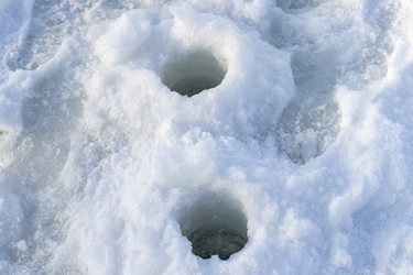 Similar image 22470671