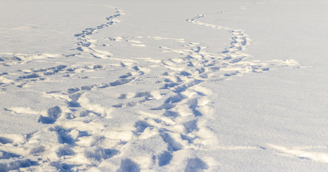 Similar image 22470673