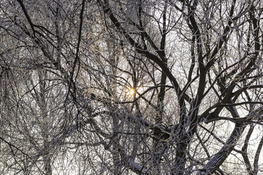 Similar image 22470674