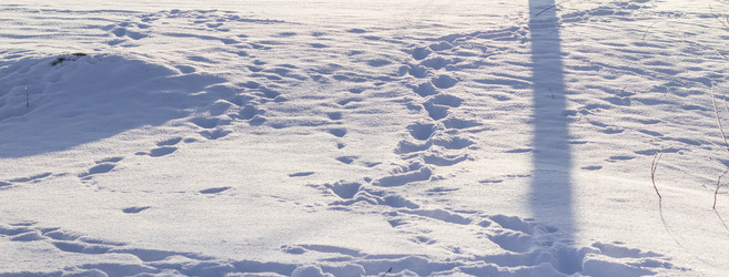 Similar image 22470675