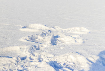 Similar image 22470676