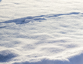 Similar image 22470678