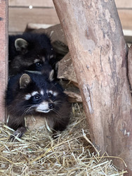 Similar image 22455681