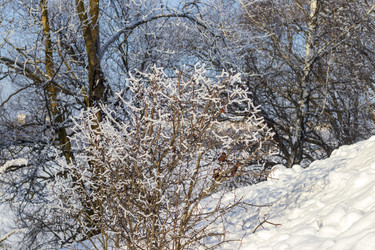 Similar image 22470685