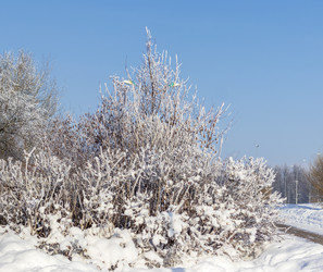 Similar image 22470686