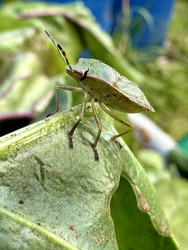 Similar image 22455682