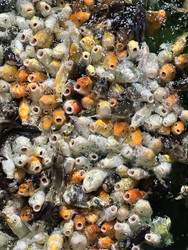 Similar image 22455683