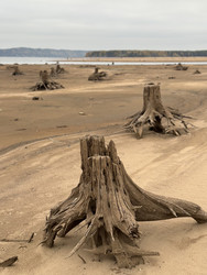 Similar image 22456477